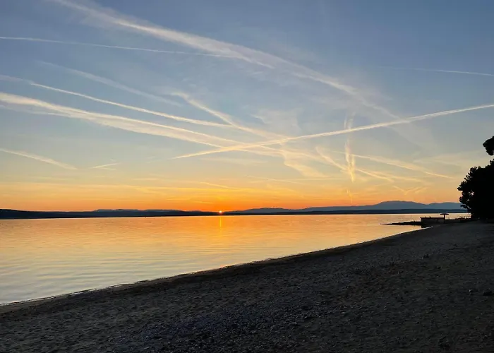 Renata * Grizane-Belgrad