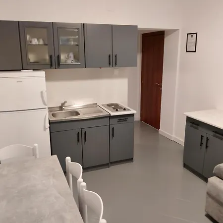 Apartament Renata Grižane